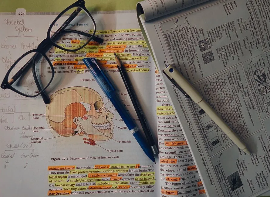 Enteric Nervous System: The Gut's Nerve Network